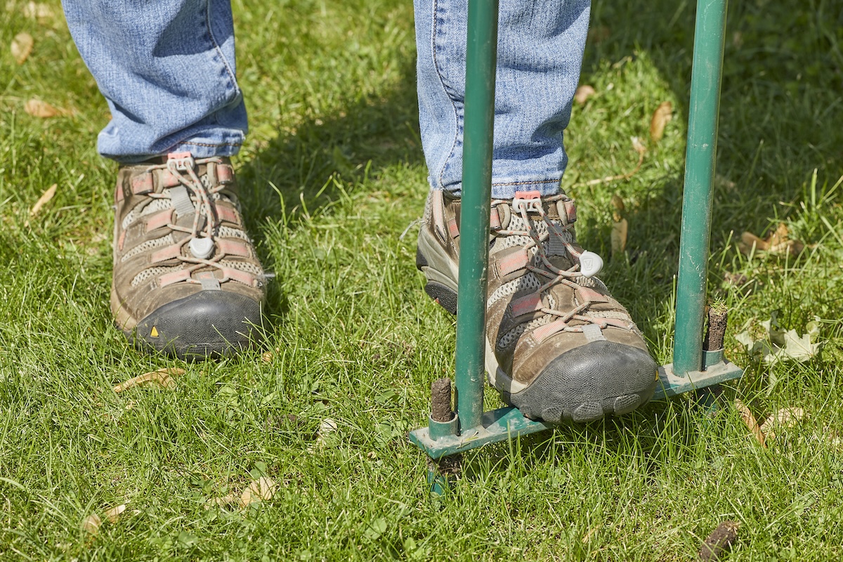 Person wearing jeans and hiking shoes uses a manual aerator on lawn.