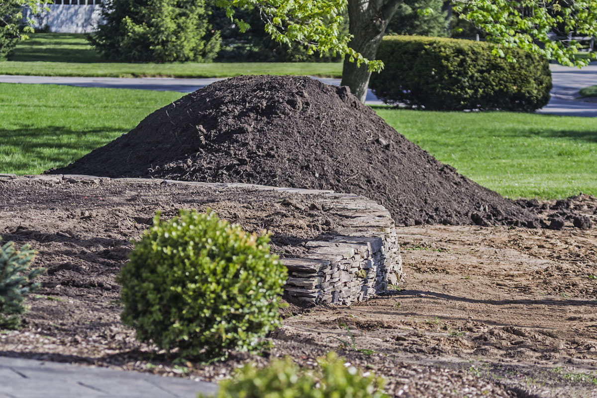 A mound of dirt on a lawn.