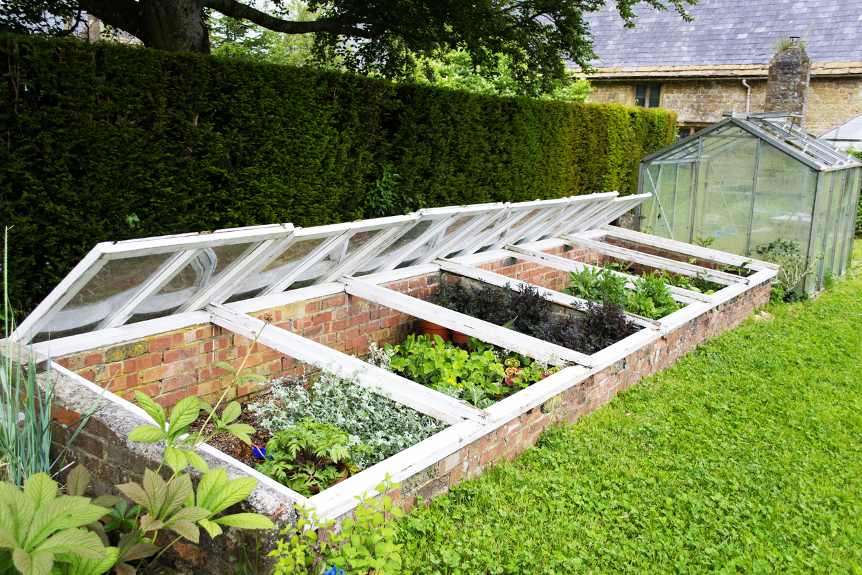 DIY Cold Frames Built from Bricks and Windows