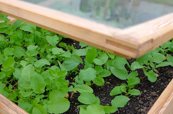 Here’s How Building a Cold Frame Can Extend Your Gardening Season