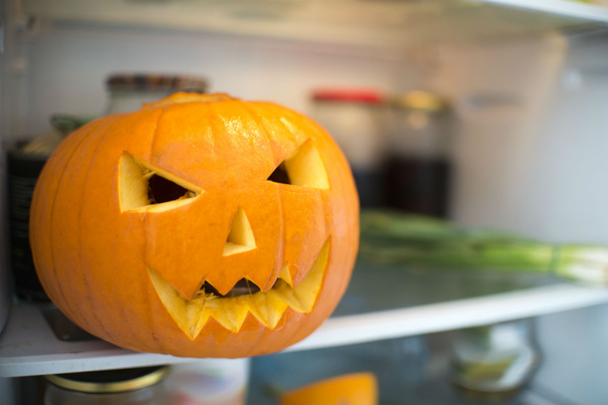 How to Preserve a Carved Pumpkin? Place in the Fridge Overnight