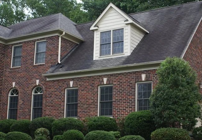 Black Roof Stains? Check for Algae