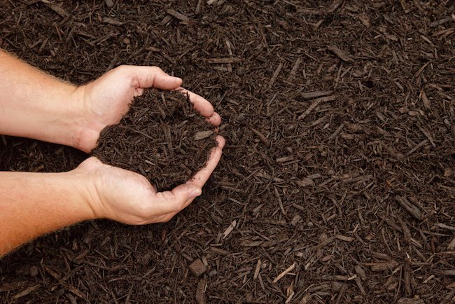 How To: Mulch Your Flower Beds
