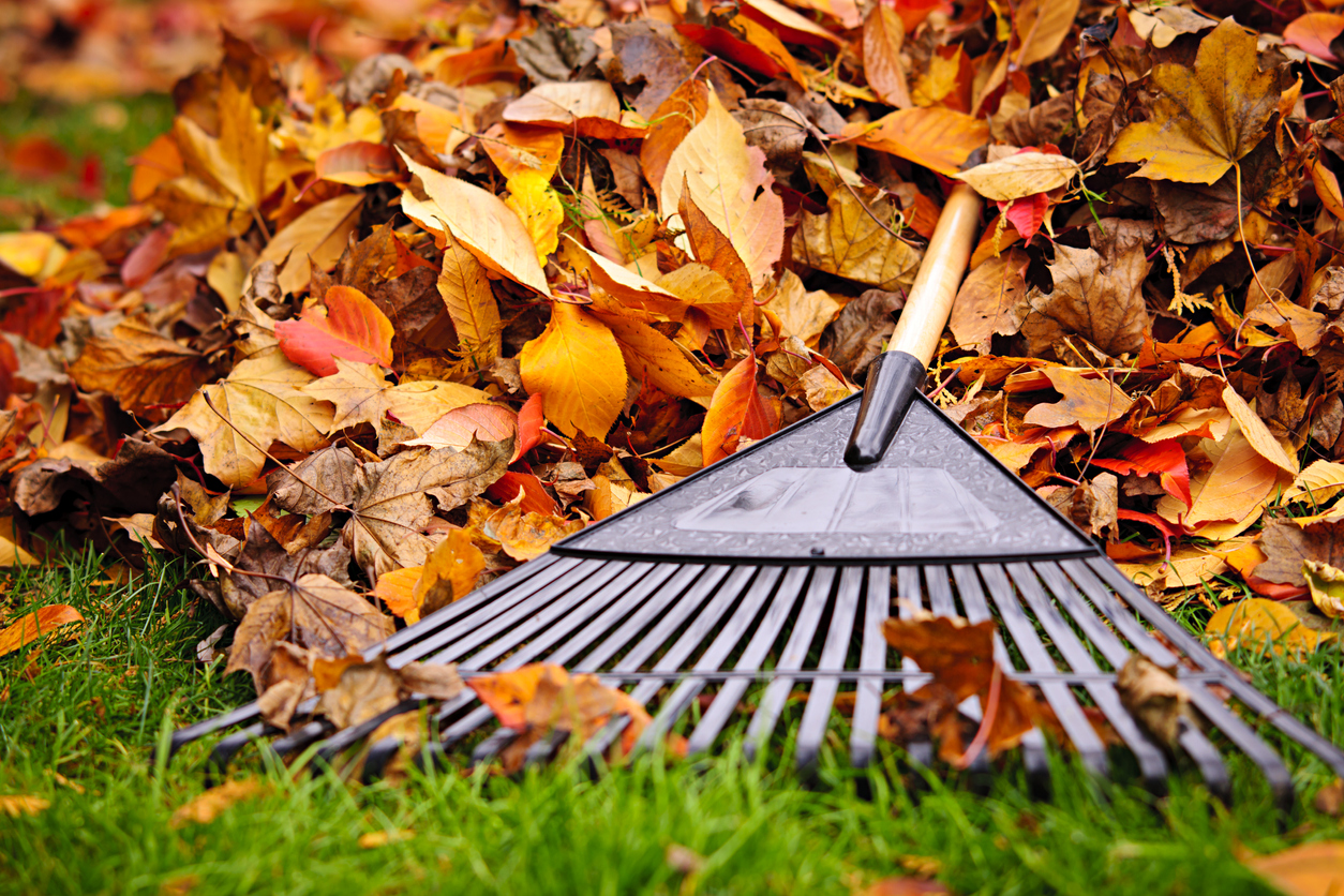 fall-home-maintenance-checklist-yard-cleanup