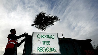 Treecycling