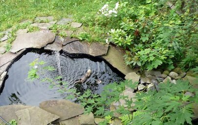 Top Tips for Installing a Small Backyard Pond