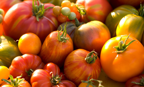 Ripe for the Picking: 10 Full-Bodied, Full-Flavored Heirloom Tomatoes