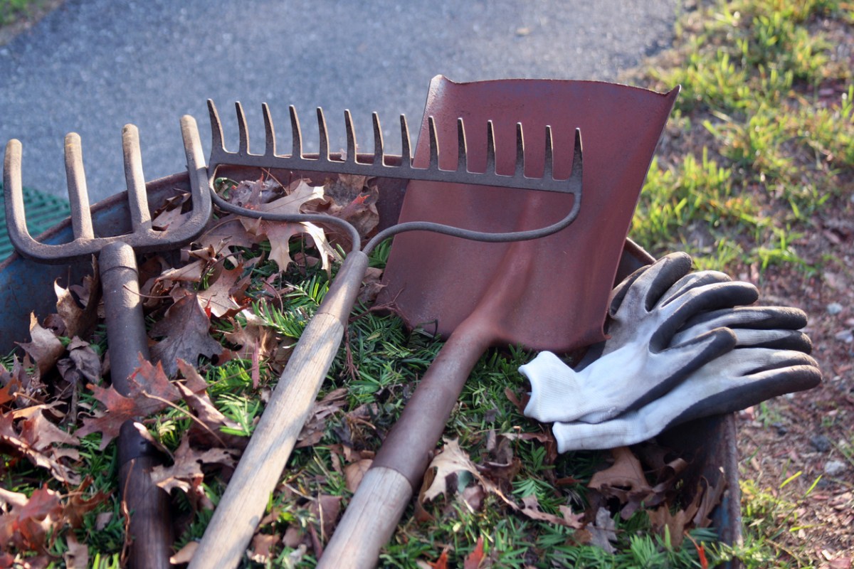 How to Clean Gardening Tools