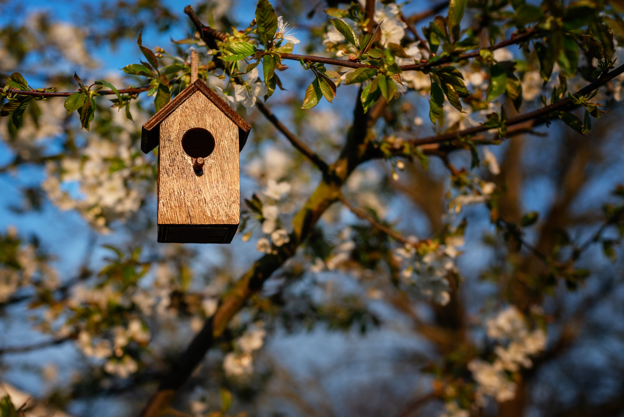 Simple wooden birdhouse hangs from tree branch on bright spring day.