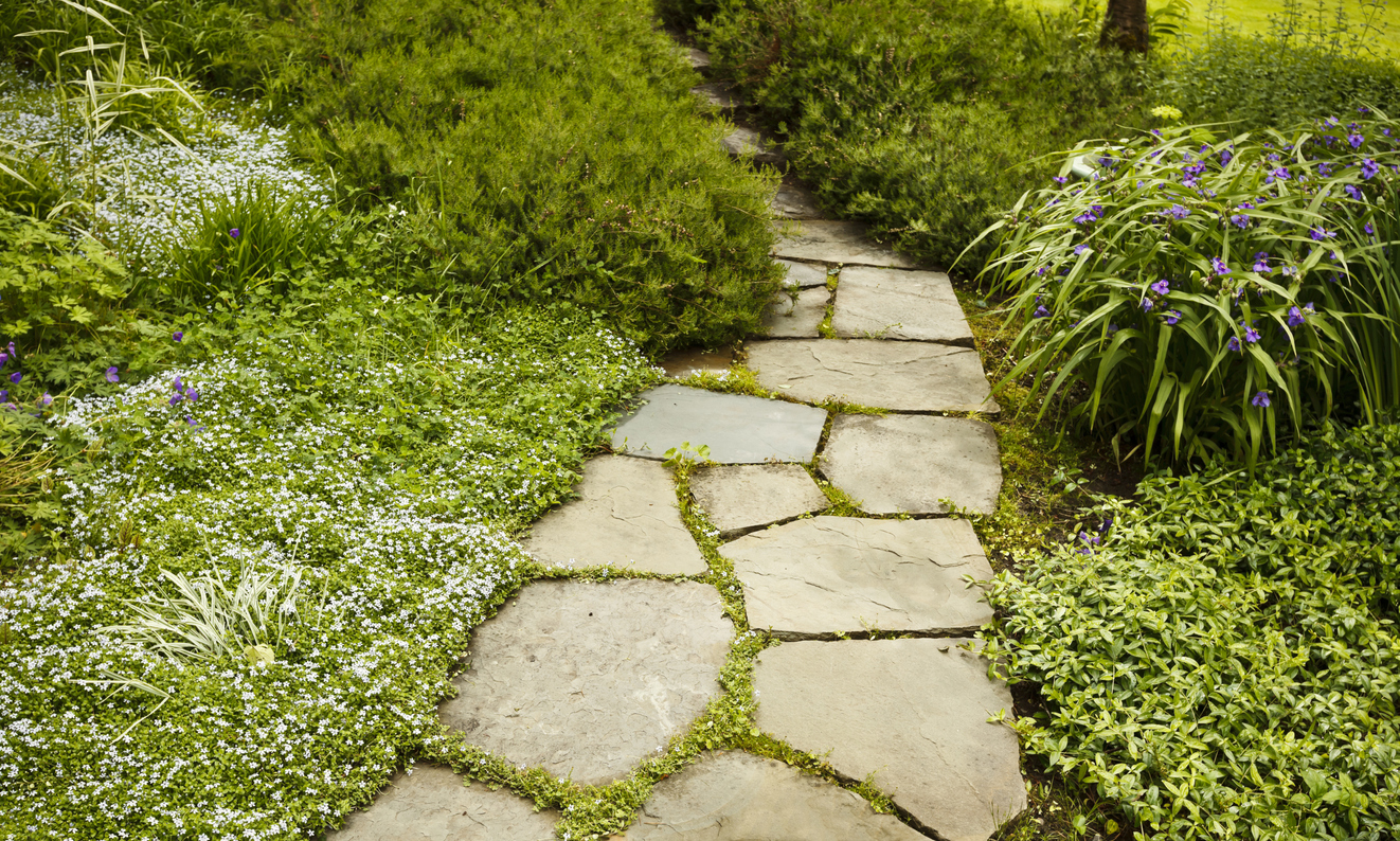 How to Lay a Stone Path - Stepping Stones