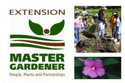 Cocorahs-1.org Extension Office Master Gardeners Program