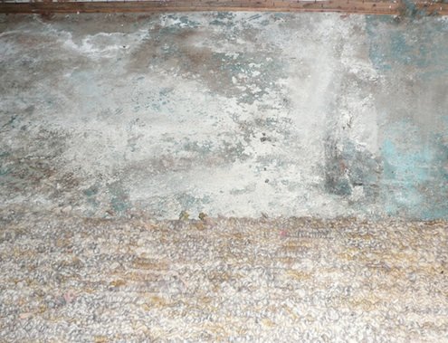DSchwartz-Entry-Hall-Carpet-Before