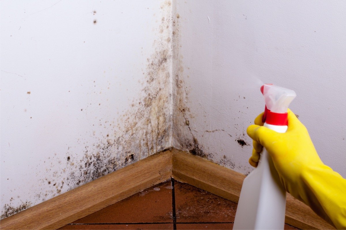 how to clean painted walls