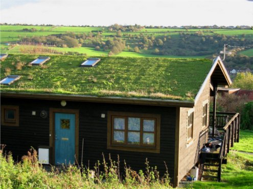 Trending Now:  Green Roofs