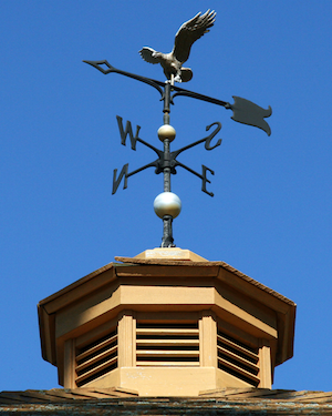 11 Weather Vanes to Point You in the Right Direction