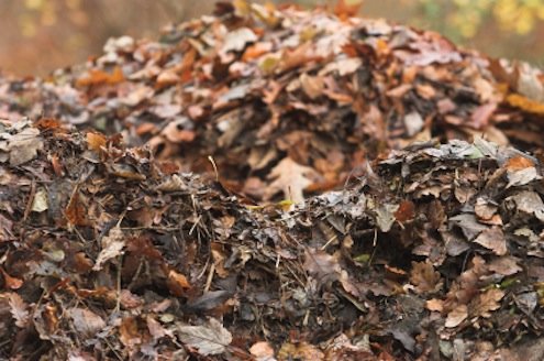 Bob Vila Radio: Fall Composting