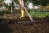 Person wearing rubber boots rakes the garden soil.