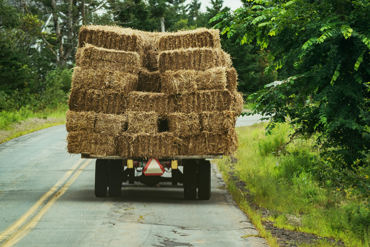 decorative straw bales