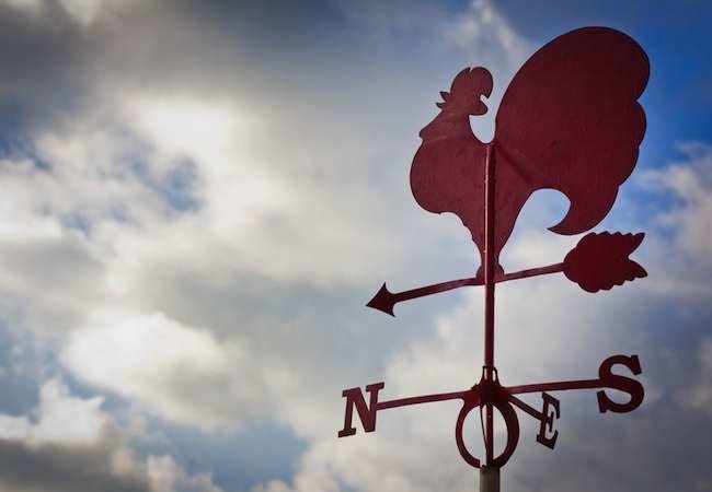 11 Weather Vanes to Point You in the Right Direction