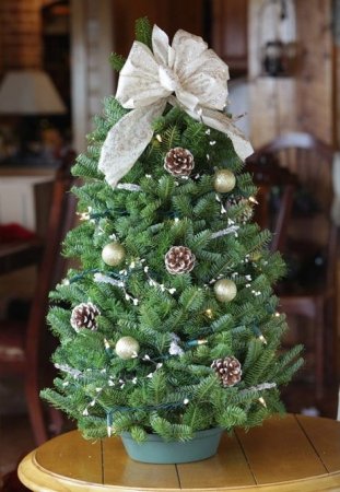 12 Christmas Tree Decorating Fails
