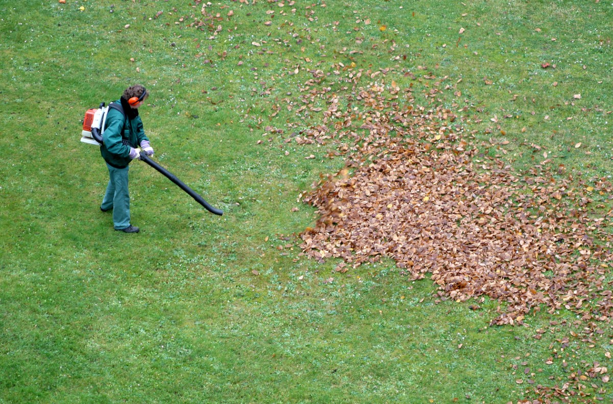 How to Use a Leaf Blower Safely