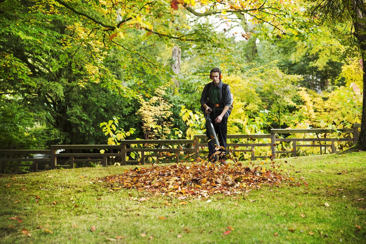 A man uses a leaf blower to gather dead leaves into a single pile.