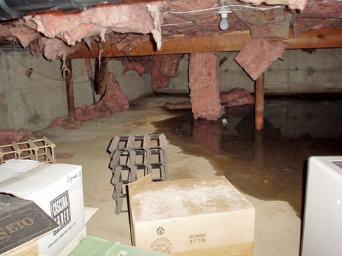 crawl space with water and falling insulation batts