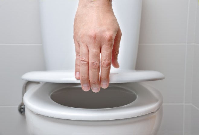 10 Things Never to Flush Down the Toilet