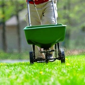 How To: Get Rid of Crabgrass