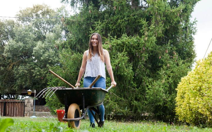 Lawn Mower Repair and Maintenance: The Dos and Don’ts All Homeowners Should Know