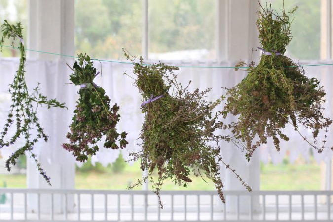 Herbs air drying