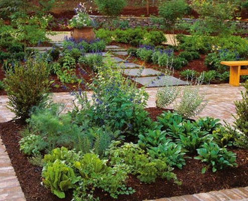 So, You Want to… Plant an Herb Spiral Garden