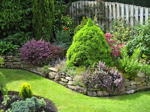So, Who Are Master Gardeners and What Can They Do for You?