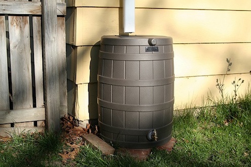 Solved! Is it Illegal to Collect Rainwater?