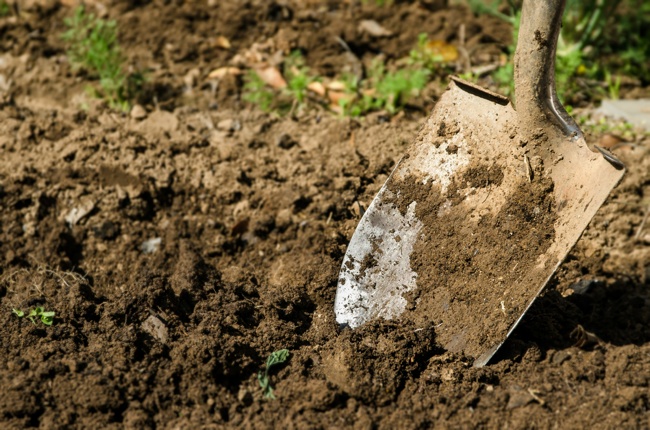 All You Need to Know About Loamy Soil