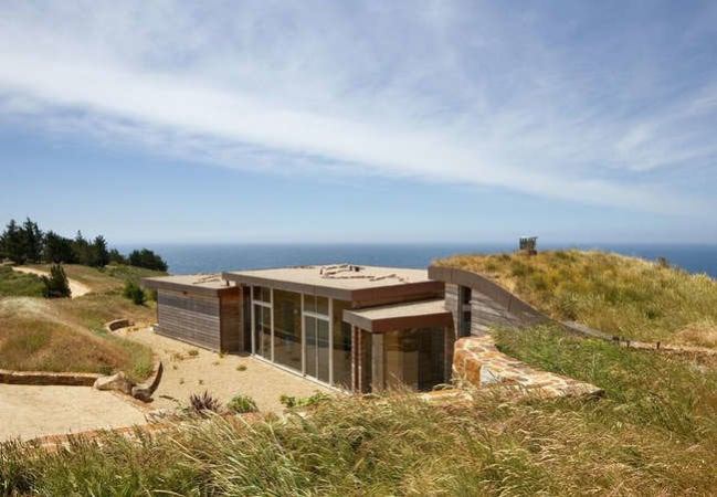 Trending Now:  Green Roofs