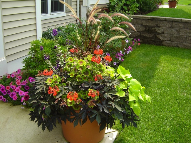 Container Gardens