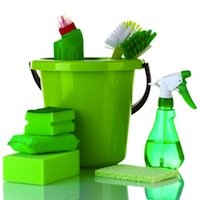 Going Green and Keeping Clean: Indoor Edition