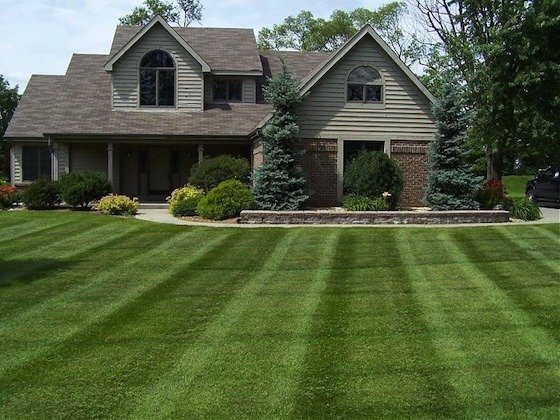 5 Ways to a Greener Lawn