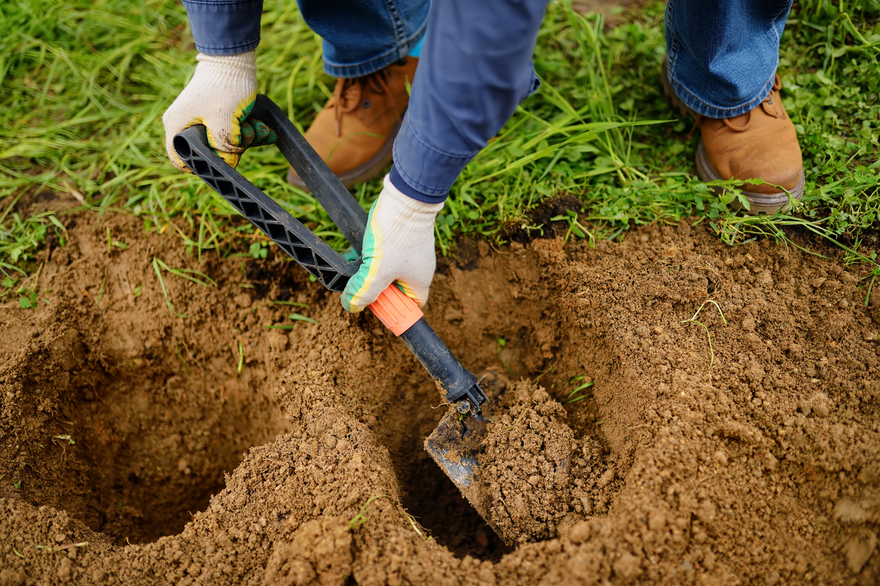 Man diging holes a shovel for planting juniper plants in the yard. Seasonal works in the garden. Landscape design.