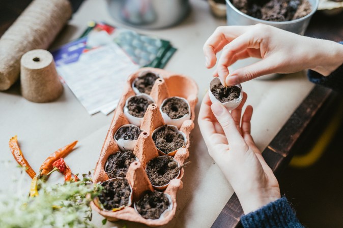 This Is the Best Time to Start Seeds Indoors for a Thriving Spring Garden