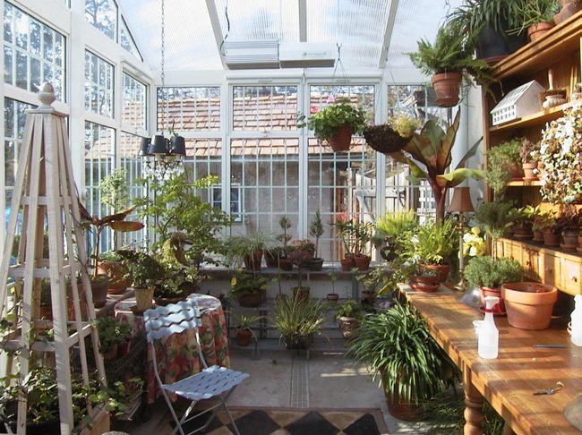 Build a Greenhouse - Interior