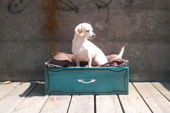 Reuse Drawers - Pet Bed