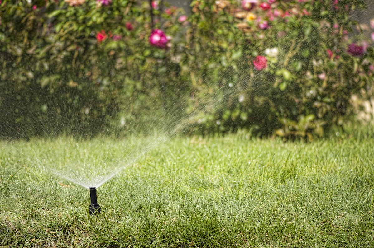 A close-up image of a sprinkler system working on a sunny day.