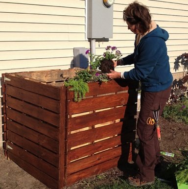 Planting the Compost Bin