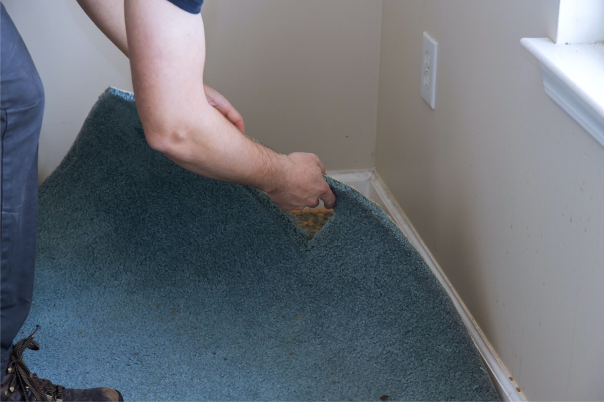 how to remove carpet