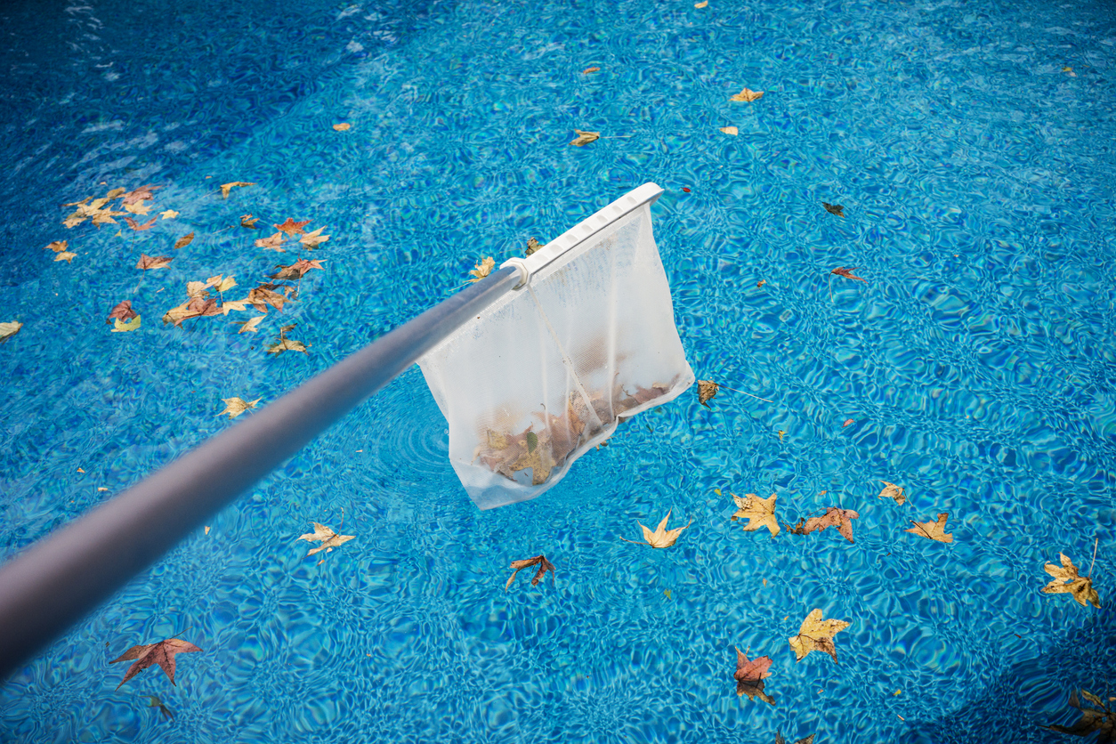 Someone out of frame uses a net to scoop up autumn leaves from a swimming pool.