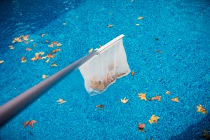 Someone out of frame uses a net to scoop up autumn leaves from a swimming pool.