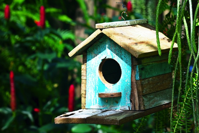 Top Tips for Building a Better DIY Birdhouse