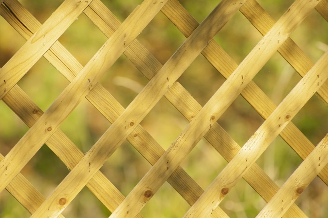 How To: Build a Trellis (The Quick and Easy Way)